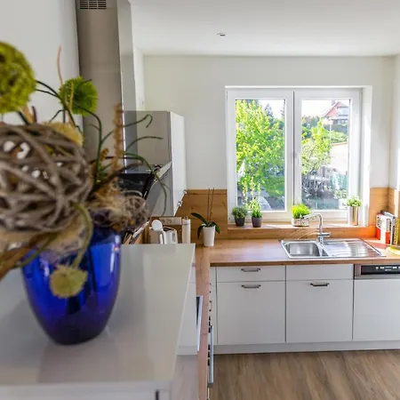 Apartamento Hangar 19 Luxusapartment Mit Sauna, Kamin, Dachterrasse Und Seeblick H5w3 Schwerin (Mecklenburg-Vorpommern)