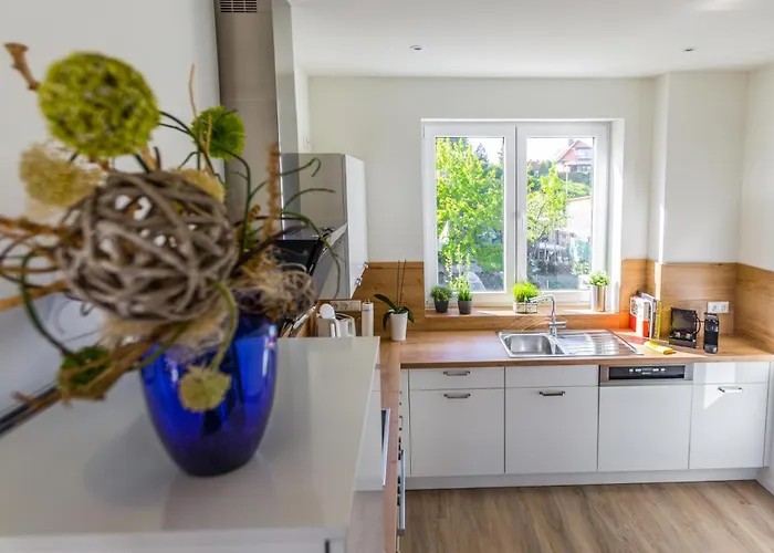 Appartamento Hangar 19 Luxusapartment Mit Sauna, Kamin, Dachterrasse Und Seeblick H5w3 Schwerin (Mecklenburg-Vorpommern)